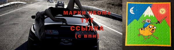 дживик Тайга