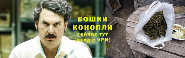 дживик Тайга