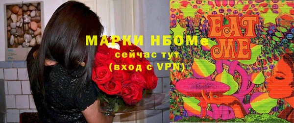 гашик Себеж
