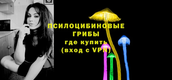 гидропоника Сясьстрой