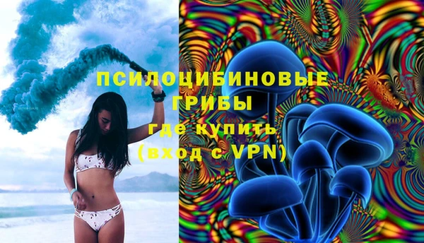 дживик Тайга